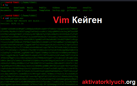 Vim Последняя версия (Бесплатно Скачать)