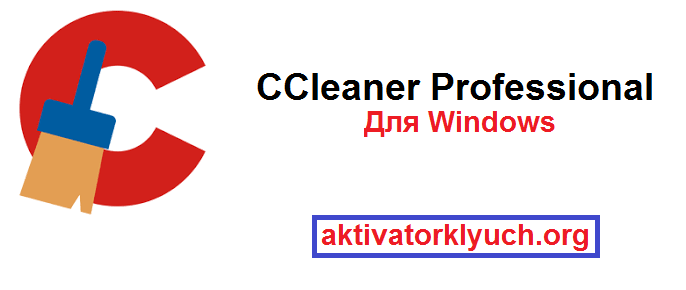 CCleaner Professional Для Windows (Free Download)